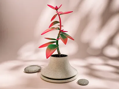 Plant 3d blender c4d lowpoly succulents