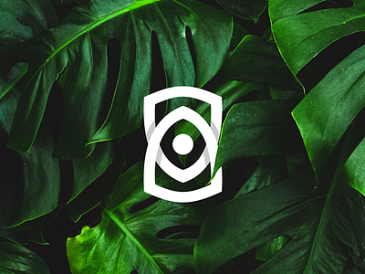 Shield Camera Mark Preview brand branding brandmark camera forsale graphicdesign icon identity illustration logo logoforsale logogram logomark mark sale shield shield logo symbol vector