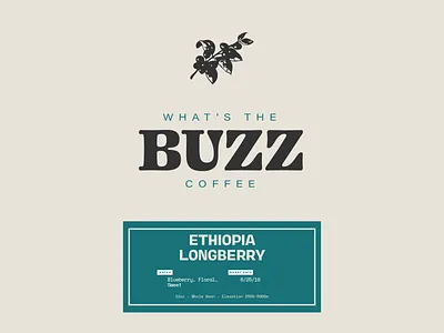 What's the Buzz Coffee #2 boutique coffee branding coffee coffee bag coffee cherry ethiopia hand drawn illustration packaging texas