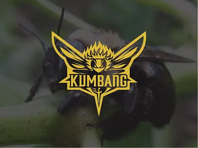 Logo Kumbang bee design designer graphic design icon illustration illustrator logo vector