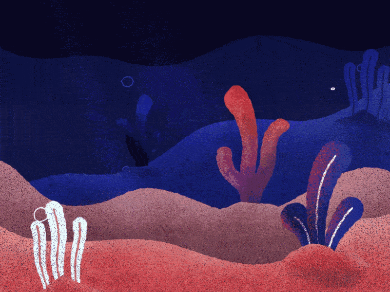 FISH 2d animation after effects animation fish frame by frame motion graphics noise sea seabottom