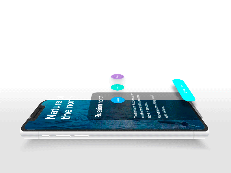 Nature Of The North after effect animation app beautiful branding clean design graphic design identity illustration illustrator lancedaile lettering minimal mobile typography ui ux web website