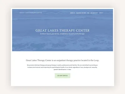 Great Lakes Therapy Center chicago squarespace therapy web design website website design