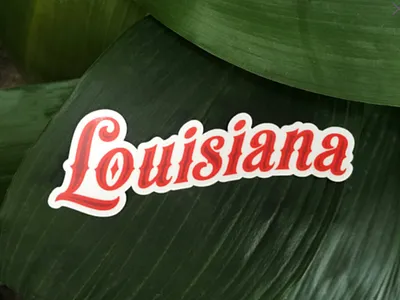 Louisiana Sticker baton rouge branding cajun la landing page louisiana new orleans states sticker swamp type usa