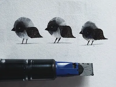 Ink Splodge Birds art birds calligraphy character design design ink nature