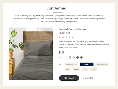 Just Arrived add to cart buy now creative design just arrived know more read more responsive sheet set typography ui design website website home page