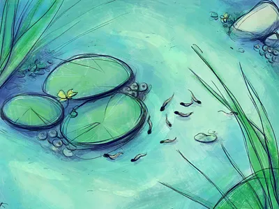 Tadpoles animals childrens illustration contest digital digital art digital illustration drawing frog illustration illustration art lake leaves nature nature illustration pond sketch spring summer tadpoles water