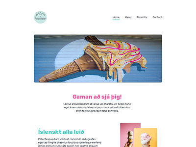 Ice Cream store ice ice cream iceland ui web design