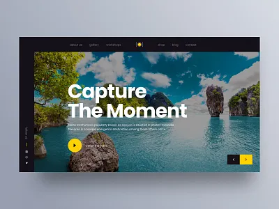 Photography Studio Hero Vol 02 bird concept dark design green hero inspiration interaction interface light mountain photographer photography photography studio ui ux web web design web interface website