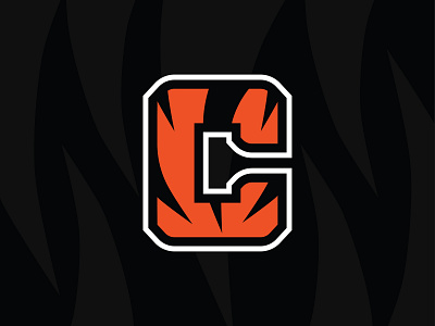 CINCINNATI BENGALS - Logo Concept 2019 bengals branding branding concept cincinnati bengals football logo nfl