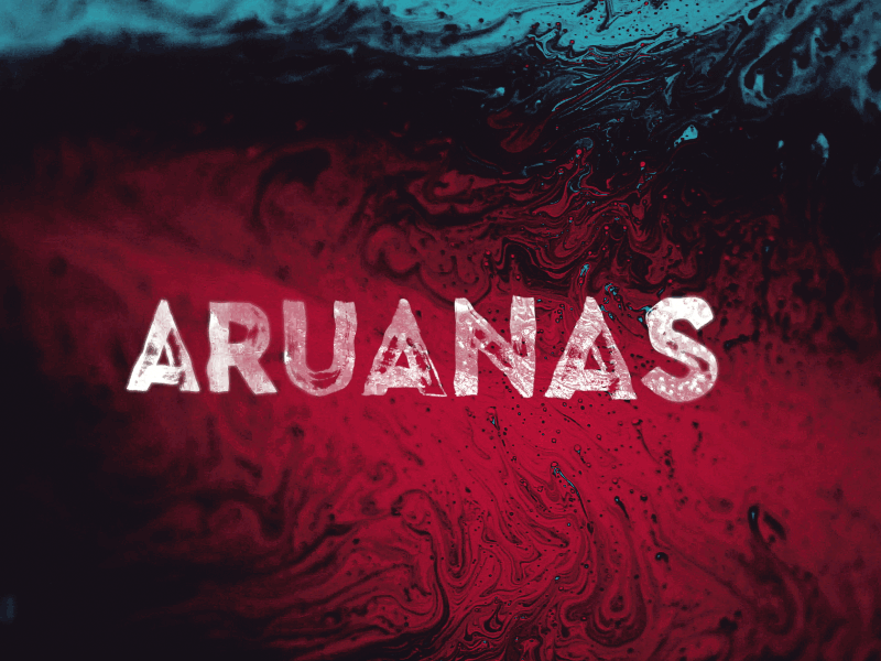 Aruanas amazonia aruanas branding brazil design fluids globo logo