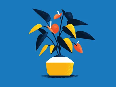 Plant Study 03 adobe flat illustration indoor plant minimal plant plant illustration plants potted plant vector