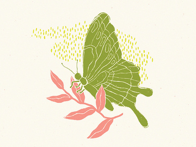 Butterfly and branch butterflies butterfly butterfly drawing color palette colorful drawing fauna floral illustration illustrator nature nature illustration outdoors outdoorsy retro color seattle seattle illustrator sketch texture vintage color