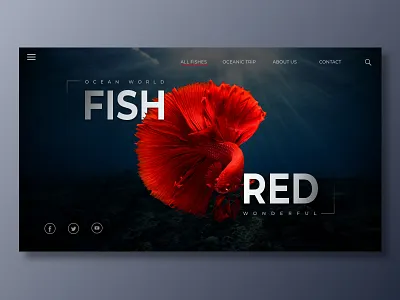 Red Fish design ui web