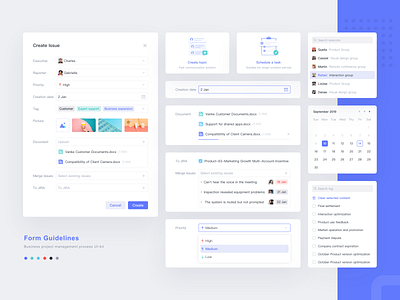 Form Guidelines design form guideline project managment ui kit web