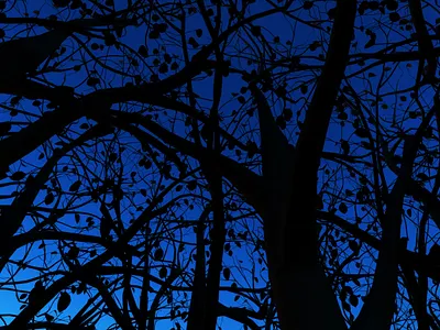 BLUE SIDE animation art direction c4d c4dart character design concept concept art concept visual creative direction digital illustration graphic art illustration motion art motion design print visual art