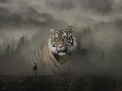 Photo Manipulation // Tiger art art design art direction creative design design art digital art digital painting digitalart girl photomanipulation photoshop photoshop action photoshop art poster poster art poster design tiger visual art visual design