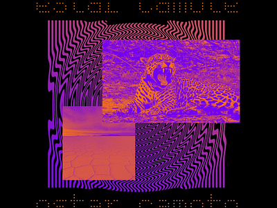 Bolivia Color Study color layout pattern typography