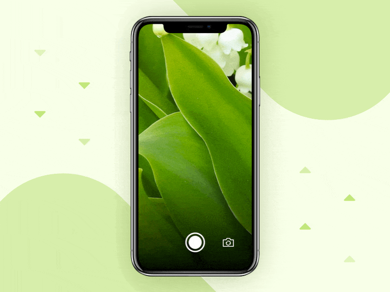 Plant Recognition Concept App animation app concept design interface design plant ui uxui