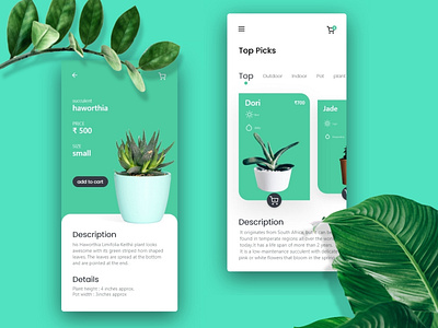 E-commerce app UI design adobe xd adobexd dailyui design designer designs ecommerce ecommerce app ui uidesign userinterface ux uxdesign