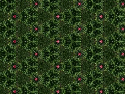 Being Green adobe art design geometry green illustration material pattern tree