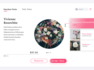 Web design ui 界面设计 网页设计 设计