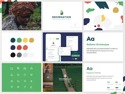 The start of Grow Nation branding appdesign brand branding farmer farming farmingapp logo logodesign ui uidesign webapp