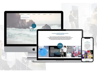 Kalvei Designs branding design minimal print design typography ui ux web website