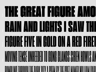 Knox Weights (WIP) custom type editorial fonts are chill logo logotype masthead type type design typeface typography