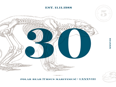 Polar Party 30 30th arkansas branding est fayetteville graphics invitation party invite polar print typography