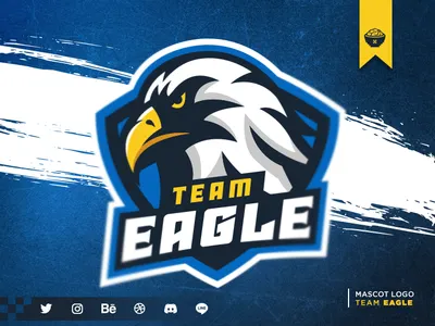 Eagle Mascot Logo design eagle logo eagles esport esportlogo esports logo esports logo design gaming logo gaming logos illustration logo logo design logos logotype mascot design mascot logo mascot logo design