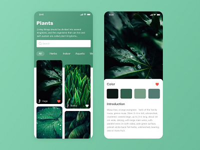 Plant Search Software app sketch ui