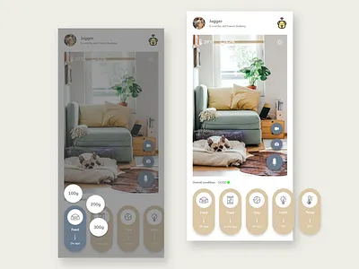 Home Monitoring for Pets 021 adobexd app camera dailyui dailyui021 dailyuichallenge design homemonitoring interface ios pet ui ux
