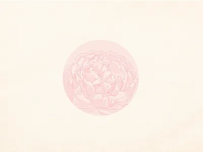 Peonies & Lines design illlustration art illustration illustrations pink illustrations pink peonies vector vector art vector design vectorart vintage vectors