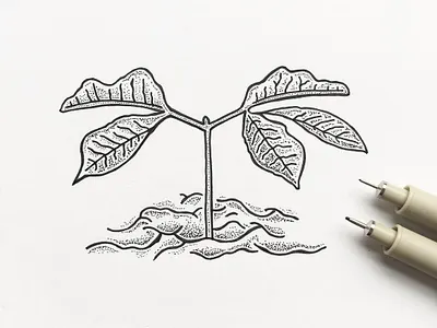 Seedling doodle dots drawing illustration indiana indianaart indianaartist ink nature outdoors pen penandink plant sketch stipple