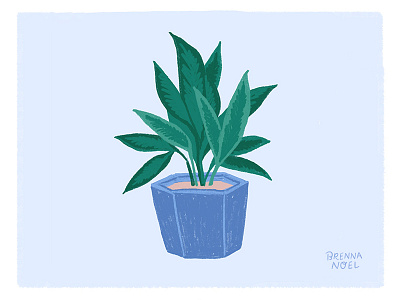 Another Houseplant botanical green greenery hand drawn houseplant illustration illustrator ipad pro leaves plant plants procreate