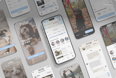 Pata - Case Study case study dog walking app dogs figma full stack designer mobile app pets product design user experience