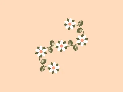 🌼 flat florals flower flowers illustration minimal