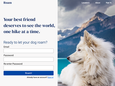 DailyUI001 dailyui