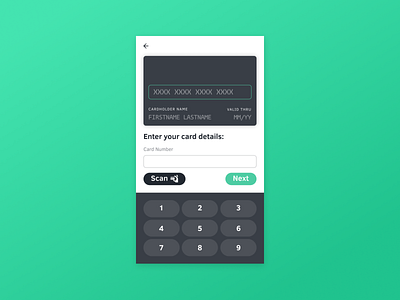 Credit Card Input Concept app dailyui design