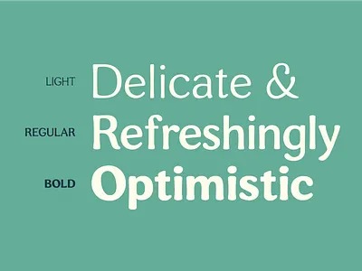 Coming Soon: Heirloom (Font) 1970s display font display typeface poster font retro font sans serif vintage font