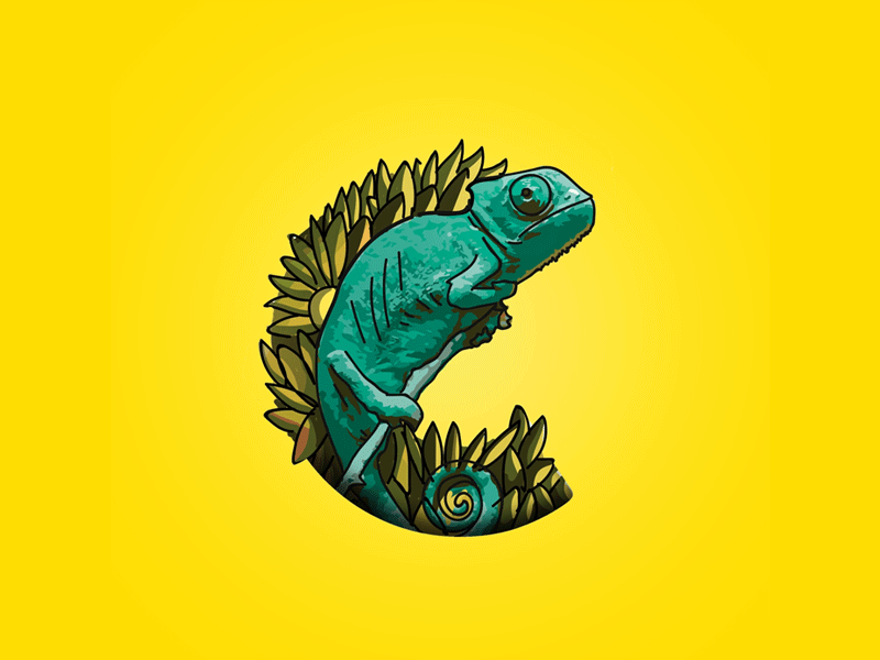 Chameleon @360° dribble amazon animal art branding bright chameleon colour design dribble eye gif golden ratio illustration minimal nature ui ux vector wild wow