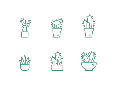Cactus green illustration nature outline icon outline illustration plants succulent