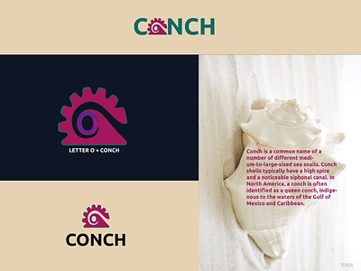 Conch Logo Branding a b c d e f g h i j k l m o n o brand mark branding conch logo design flat icon letter o logo logo 2023 logos minimal modern logo p q r s t u v w x y z vector