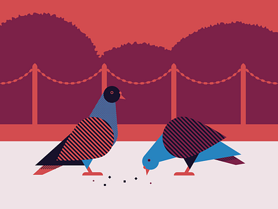 Pigeons in the park birds geometic illustration illustrator park pigeons vector
