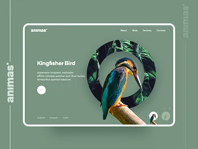 Animas. main screen concept agency animals business creative denisbujupaj design illustration minimal portfolio ui ux web web design