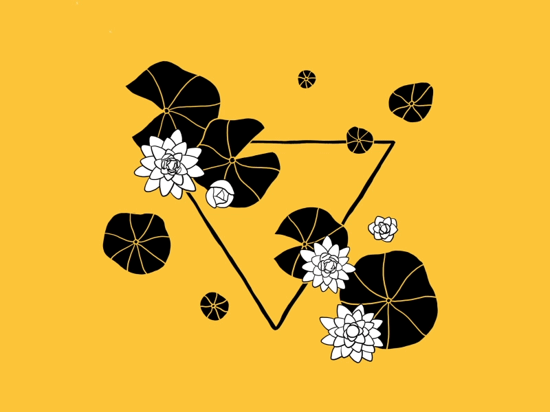 Punanimation gif after effects design flower gif loop lotus peaceful punanimation