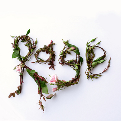 Rosettes of Rage art feminism feminist flowers logo photography rose rosebud roses thorns type type design typeface typographic typography typography art