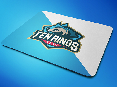 Ten Rings Team brand and identity branding design esport esportlogo esports icon illustration logo minimal monogram logo negative space logo negativespace packagedesign vector