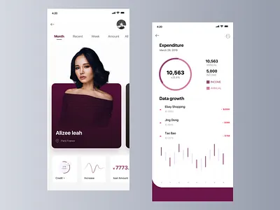 Personal Credit Data ui ux 图标 应用 设计